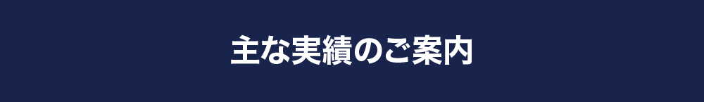 主な実績のご案内